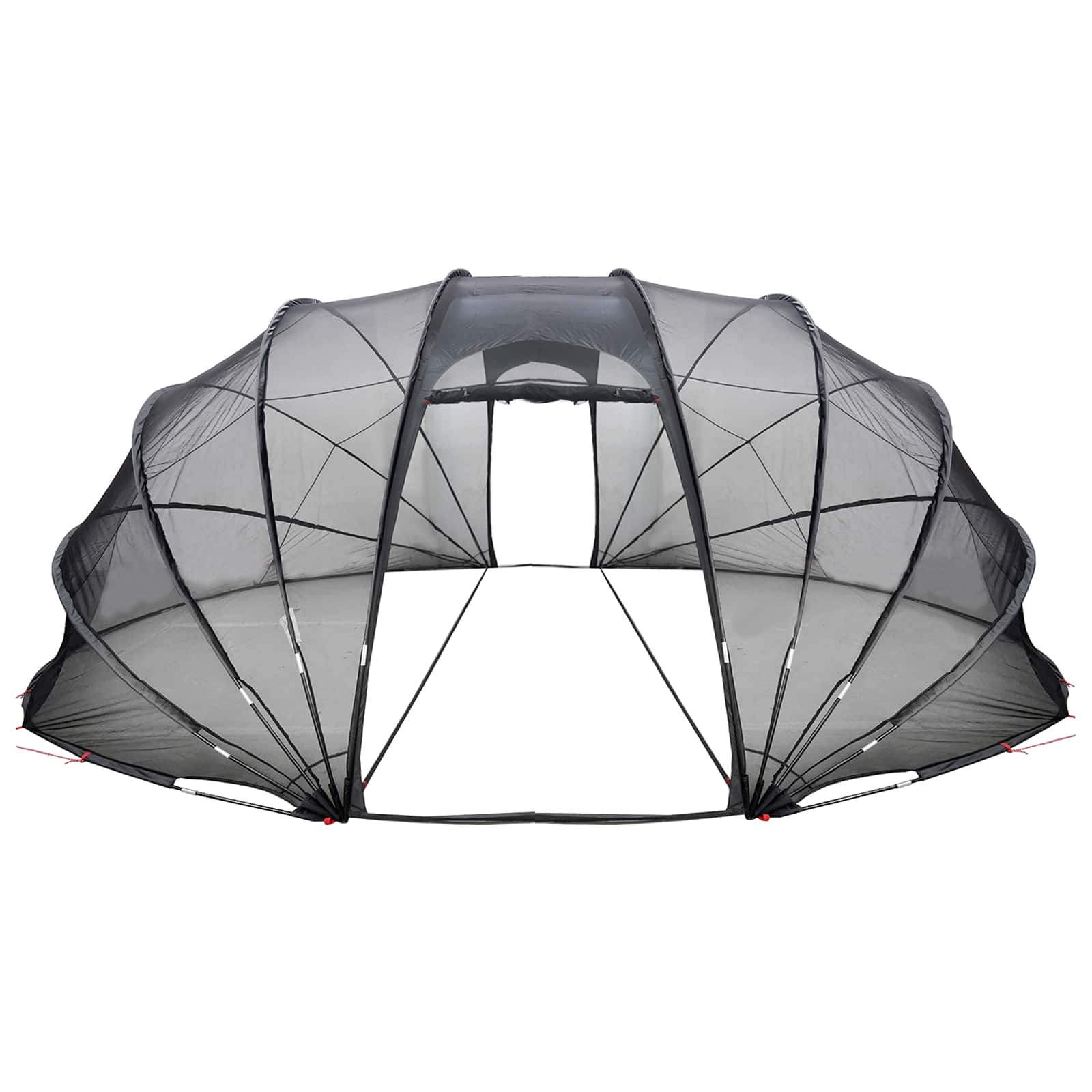 Tenda da piscina a cupola 538 x 440 x 204 cm Trasparente