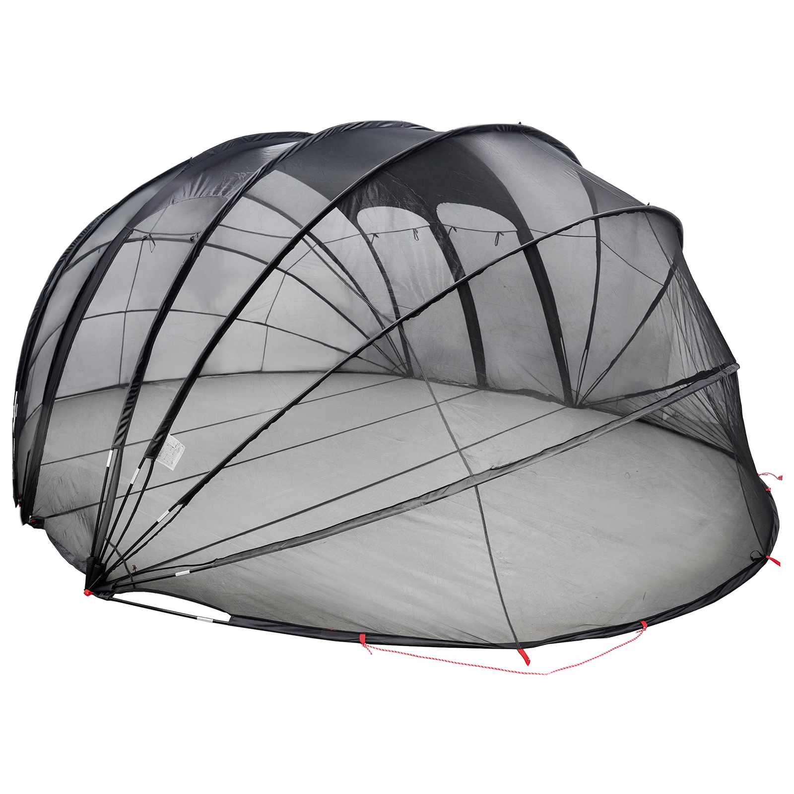 Tenda da piscina a cupola 538 x 440 x 204 cm Trasparente
