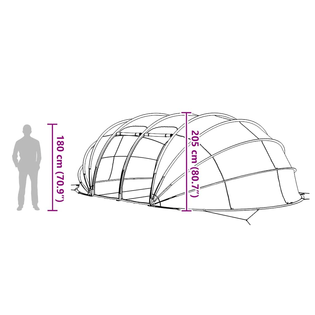 Tenda da piscina a cupola 640 x 432 x 205 cm A rete Trasparente