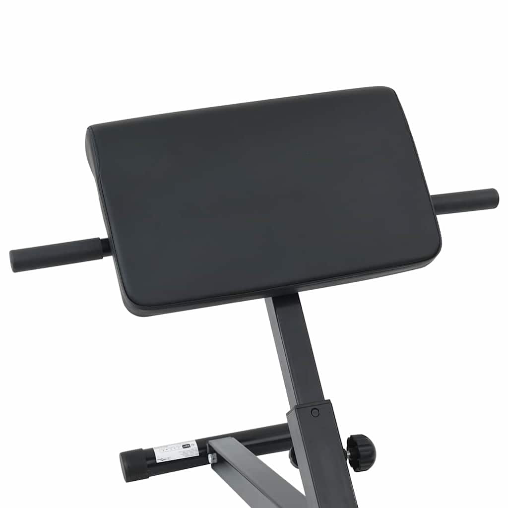 Panca per iperestensioni Nero 100,5 x 70 x 78 cm
