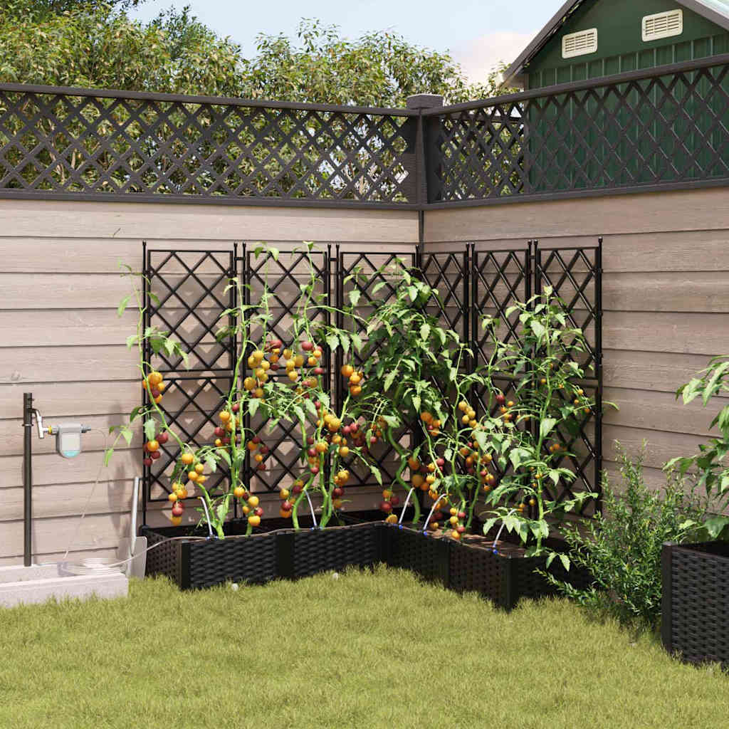 Vaso da giardino 5 pz Nero 120 x 120 x 126 cm PP