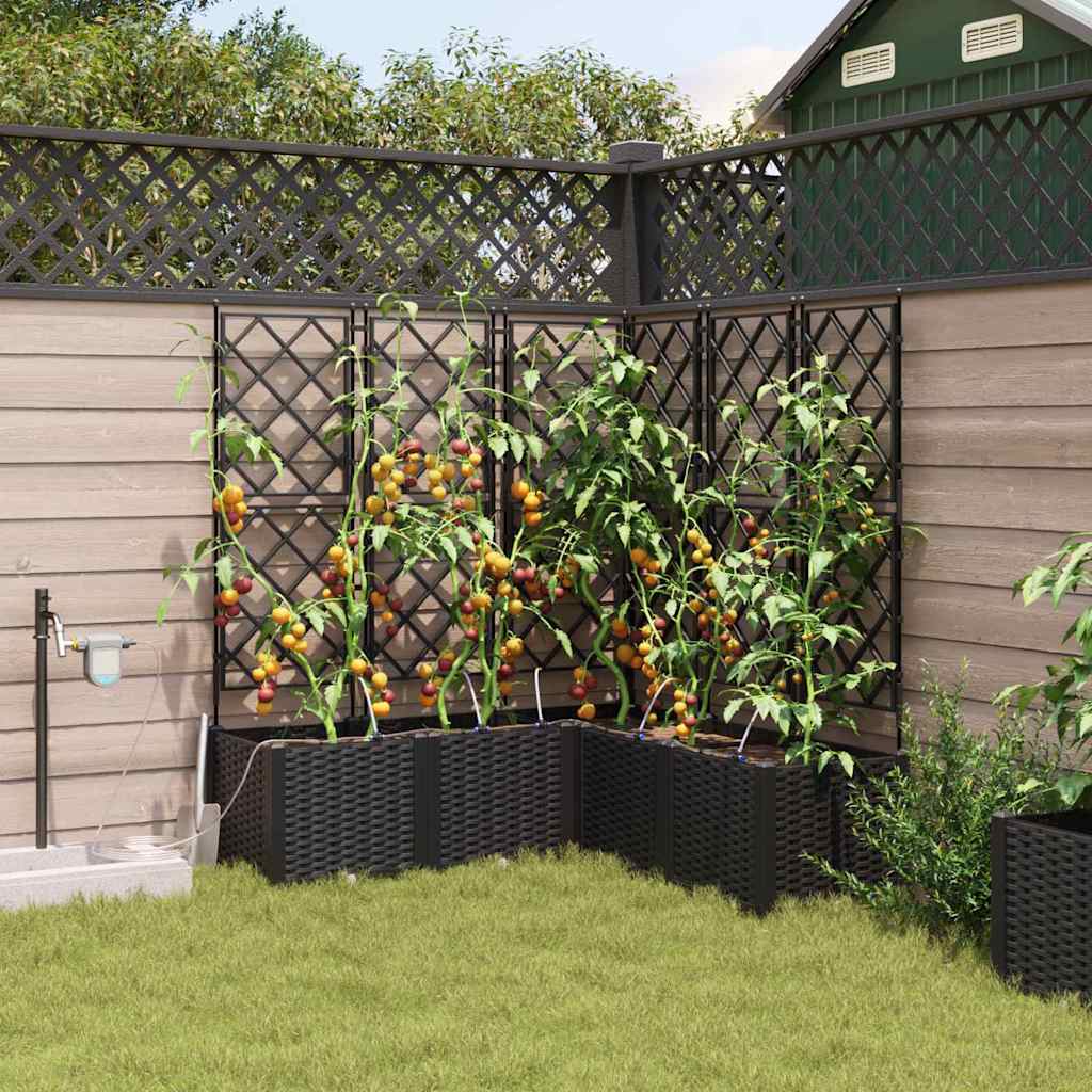 Vaso da giardino 5 pz Nero 120 x 120 x 142 cm PP
