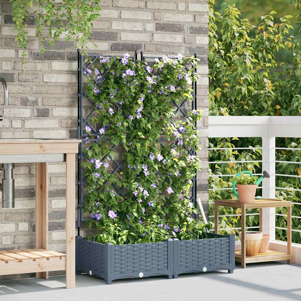 Vaso da giardino 2 pz Grigio Chiaro 80 x 40 x 125,5 cm PP