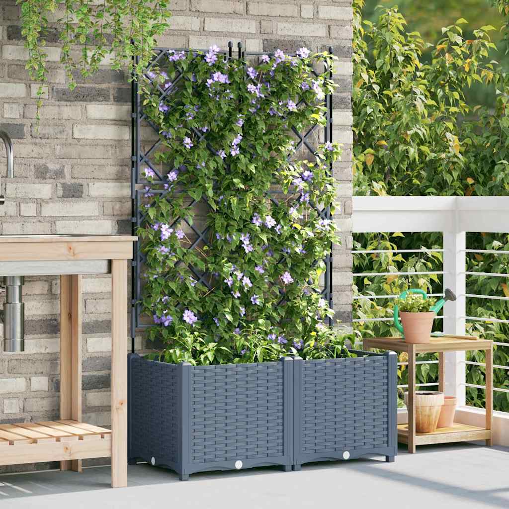 Vaso da giardino 2 pz Grigio Chiaro 80 x 40 x 143 cm PP