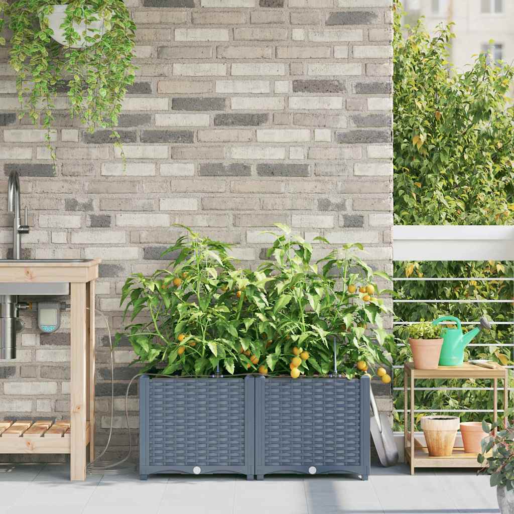 Vaso da giardino 2 pz Grigio Chiaro 80 x 40 x 37,5 cm PP