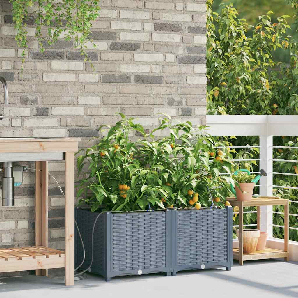 Vaso da giardino 2 pz Grigio Chiaro 80 x 40 x 37,5 cm PP