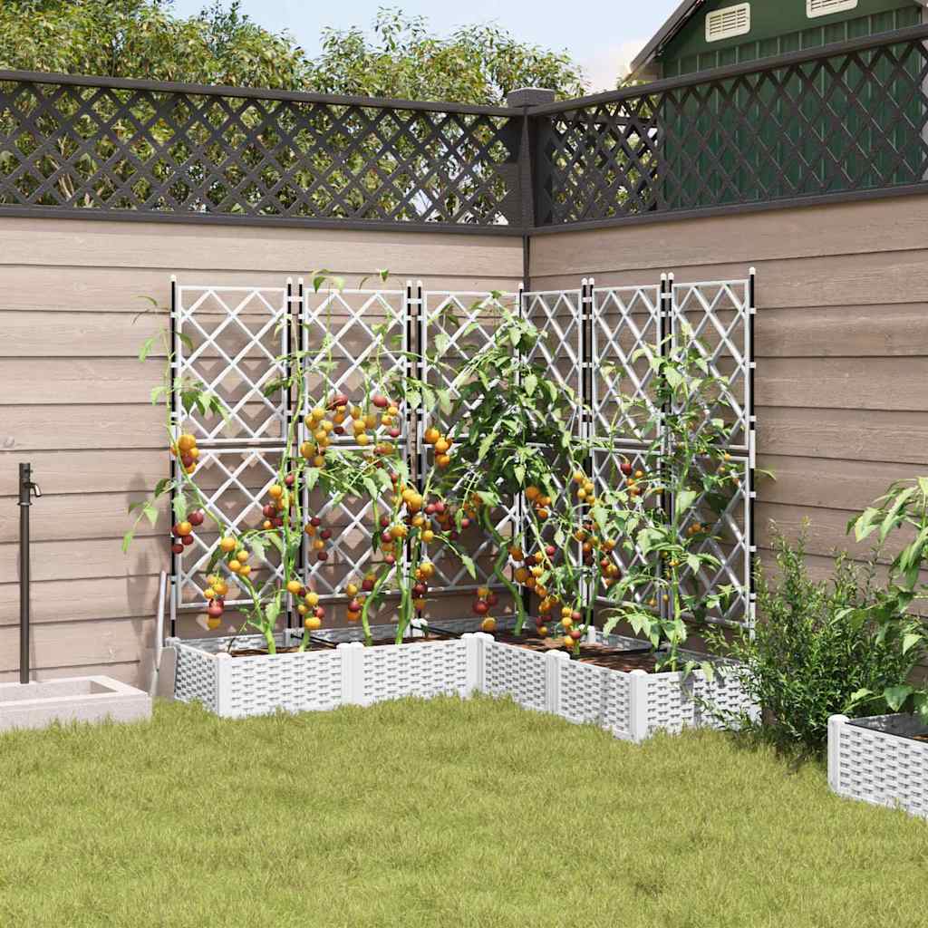 Vaso da giardino 5 pz Bianco 120 x 120 x 125,5 cm PP