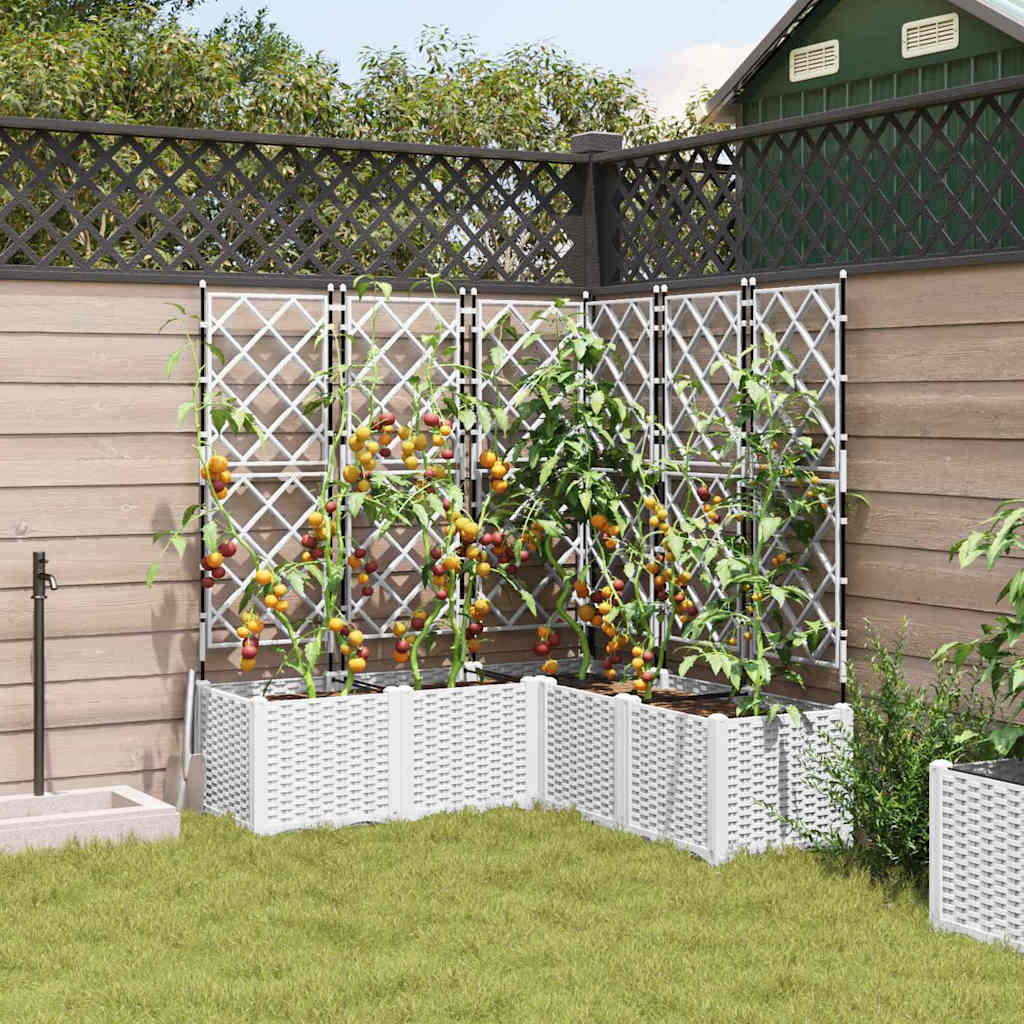 Vaso da giardino 5 pz Bianco 120 x 120 x 143 cm PP