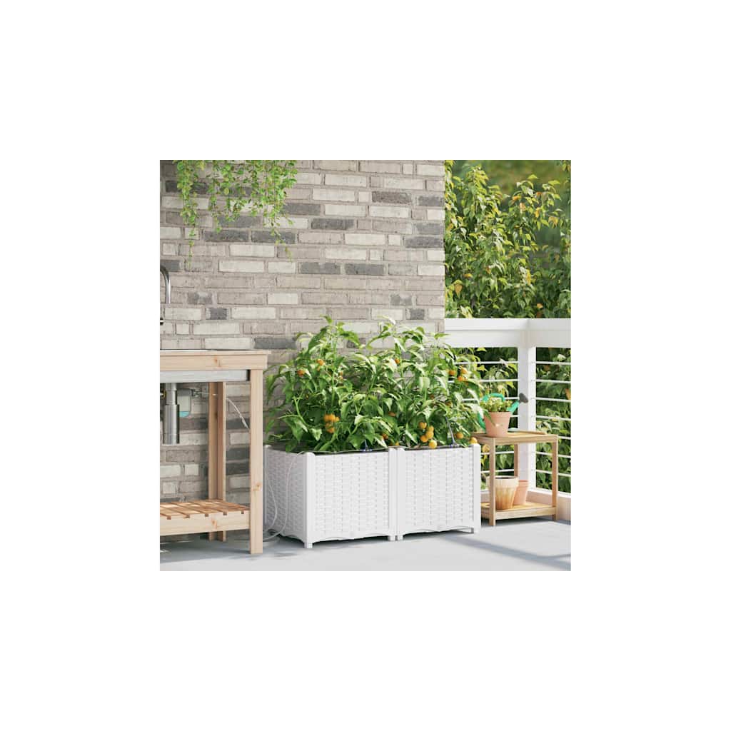 Vaso da giardino 2 pz Bianco 80 x 40 x 37,5 cm PP