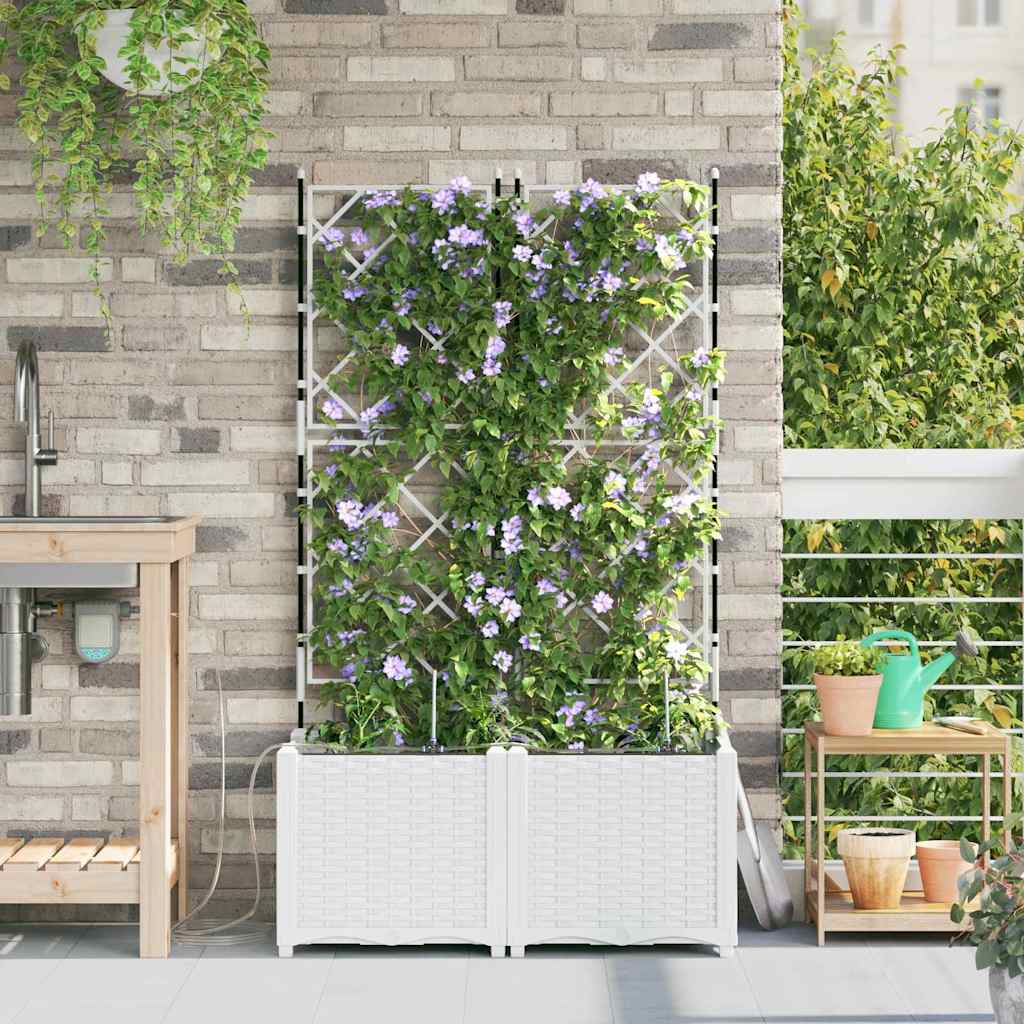 Vaso da giardino 2 pz Bianco 80 x 40 x 142 cm PP