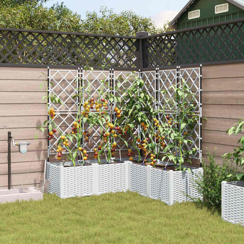Vaso da giardino 5 pz Bianco 120 x 120 x 142 cm PP