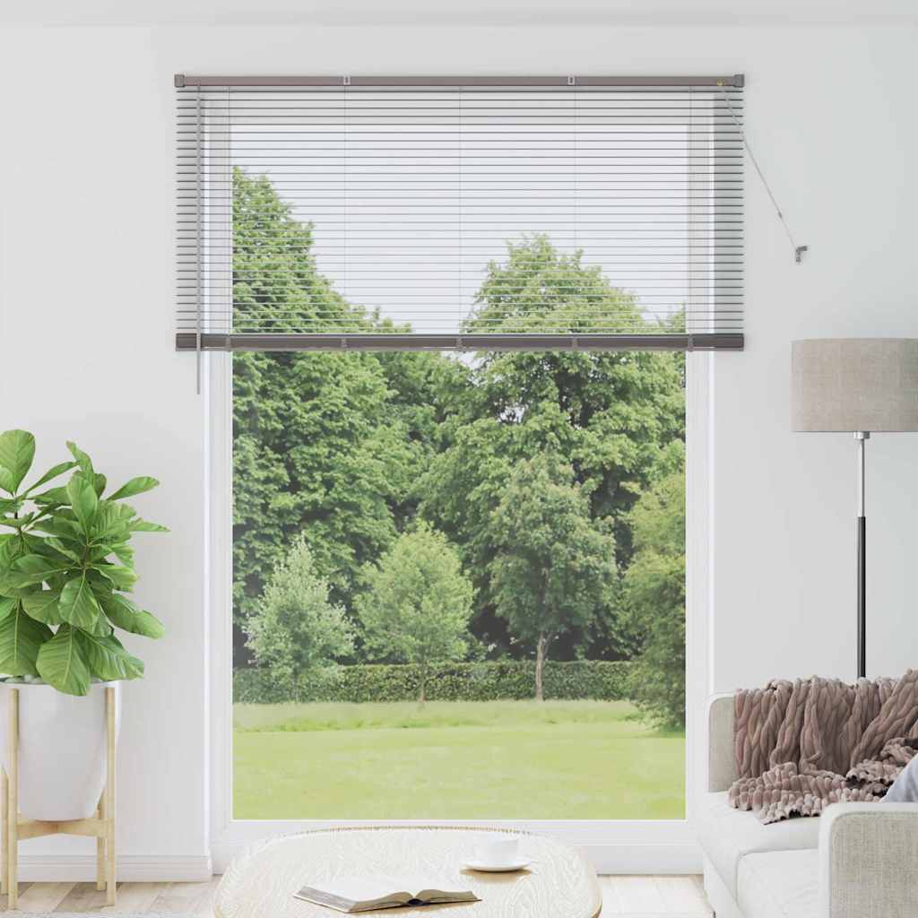 Tenda Veneziana Argento 220 x 160 cm 25 mm Alluminio