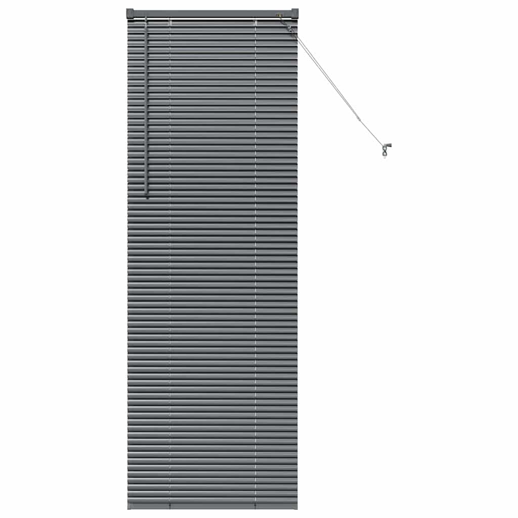 Tenda Veneziana Grigio Scuro 175 x 55 cm 25 mm Alluminio
