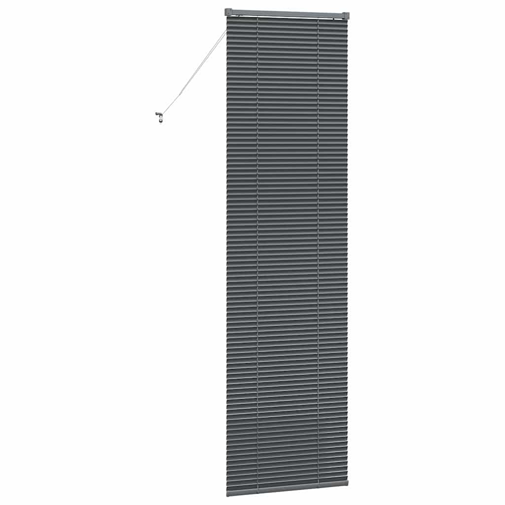 Tenda Veneziana Grigio Scuro 220 x 55 cm 25 mm Alluminio