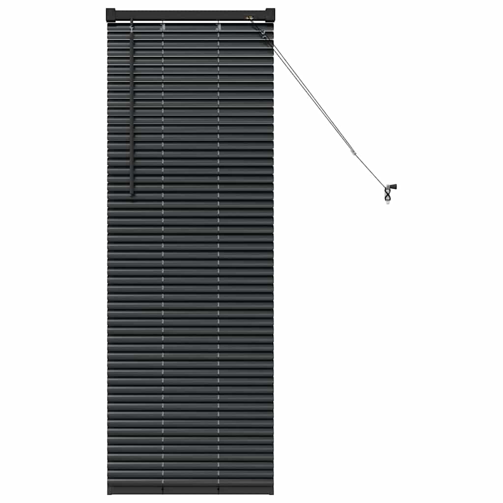Tenda Veneziana Nero 130 x 55 cm 25 mm Alluminio