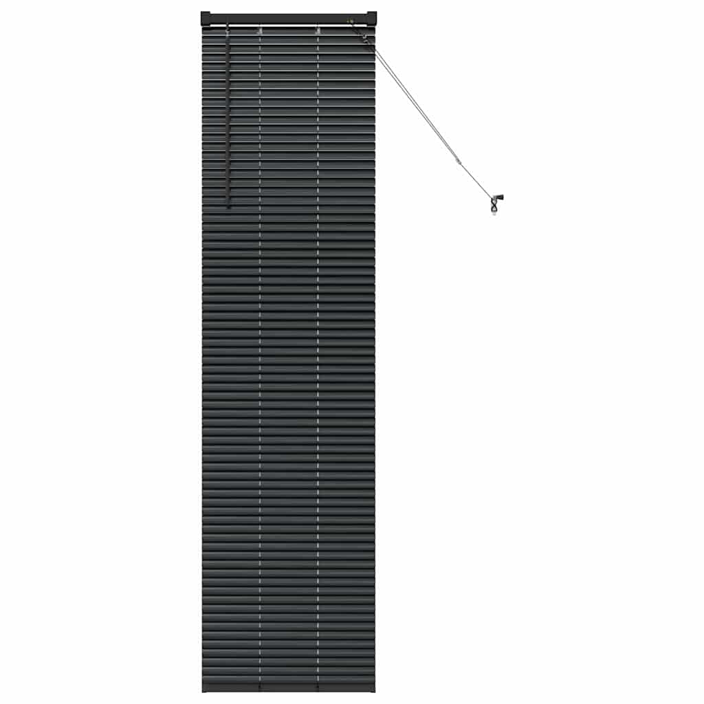 Tenda Veneziana Nero 175 x 45 cm 25 mm Alluminio