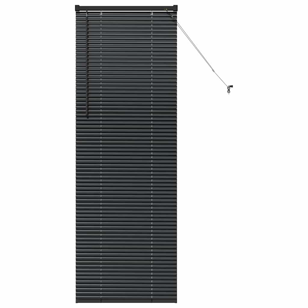 Tenda Veneziana Nero 175 x 55 cm 25 mm Alluminio