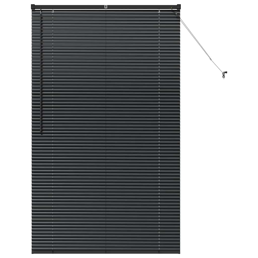 Tenda Veneziana Nero 175 x 100 cm 25 mm Alluminio