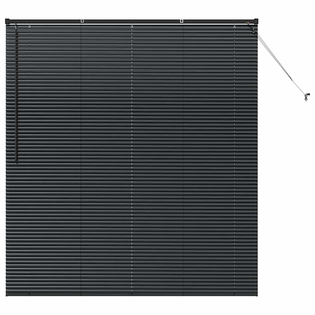 Tenda Veneziana Nero 175 x 155 cm 25 mm Alluminio