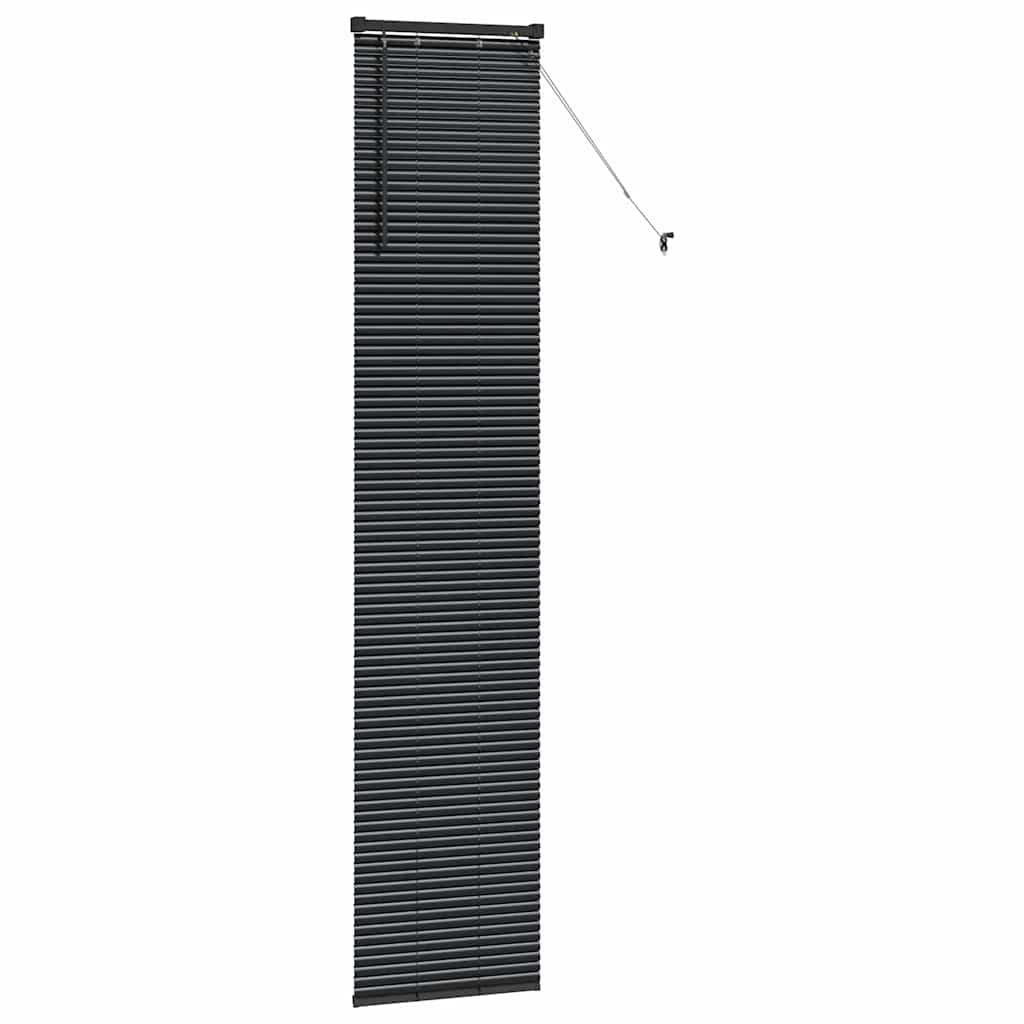 Tenda Veneziana Nero 220 x 40 cm 25 mm Alluminio
