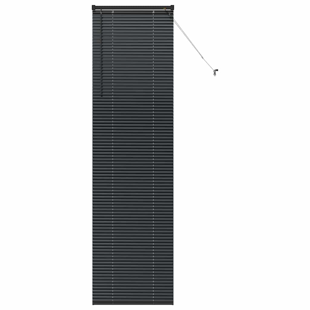Tenda Veneziana Nero 220 x 60 cm 25 mm Alluminio