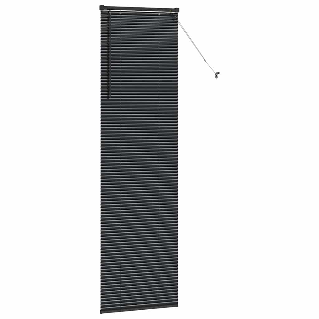 Tenda Veneziana Nero 220 x 60 cm 25 mm Alluminio