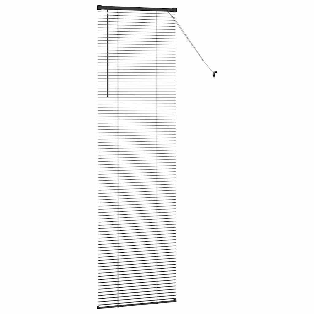 Tenda Veneziana Nero 220 x 60 cm 25 mm Alluminio