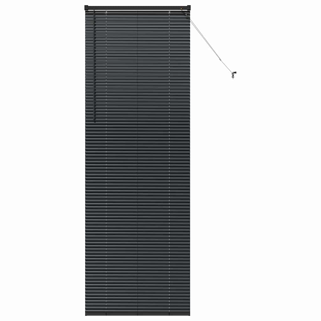 Tenda Veneziana Nero 220 x 75 cm 25 mm Alluminio