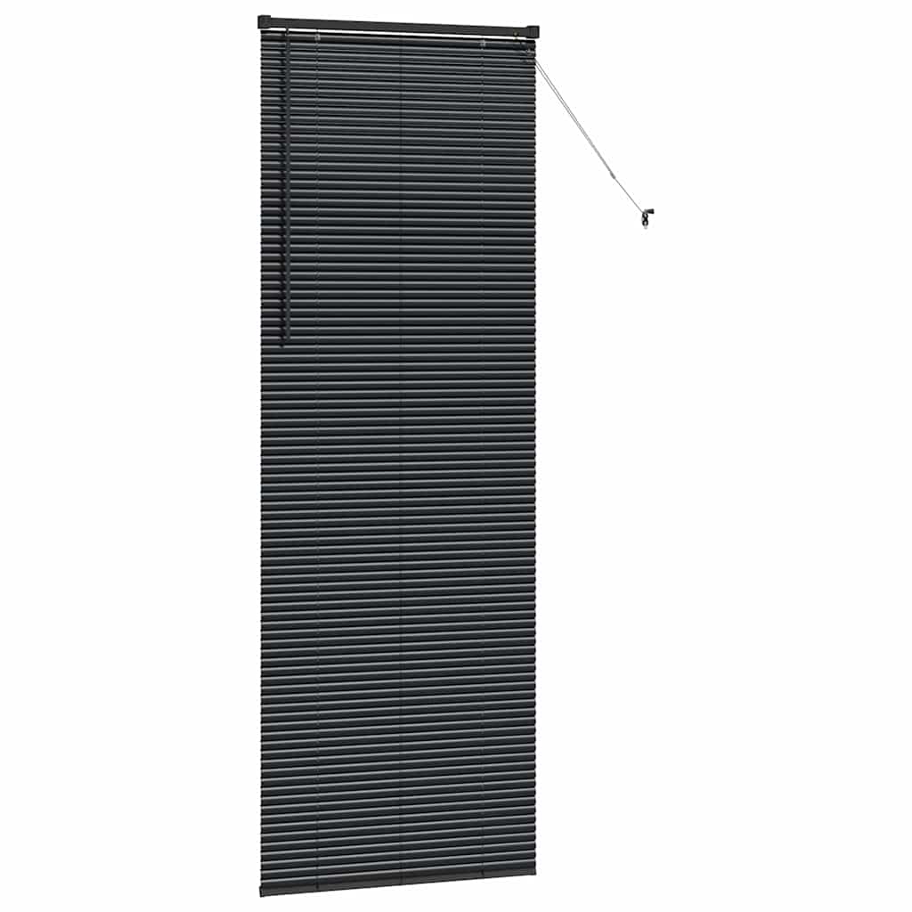 Tenda Veneziana Nero 220 x 75 cm 25 mm Alluminio