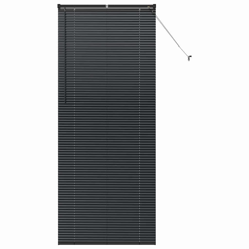 Tenda Veneziana Nero 220 x 95 cm 25 mm Alluminio