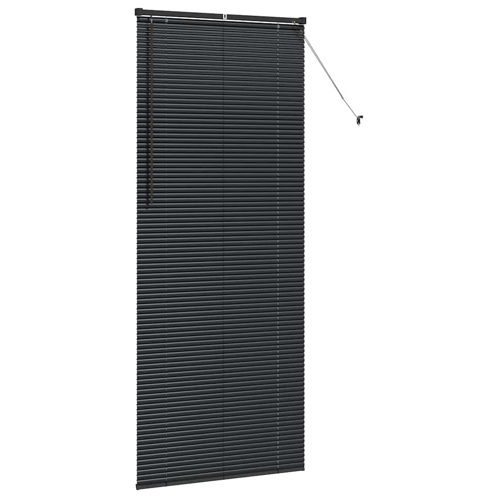 Tenda Veneziana Nero 220 x 95 cm 25 mm Alluminio