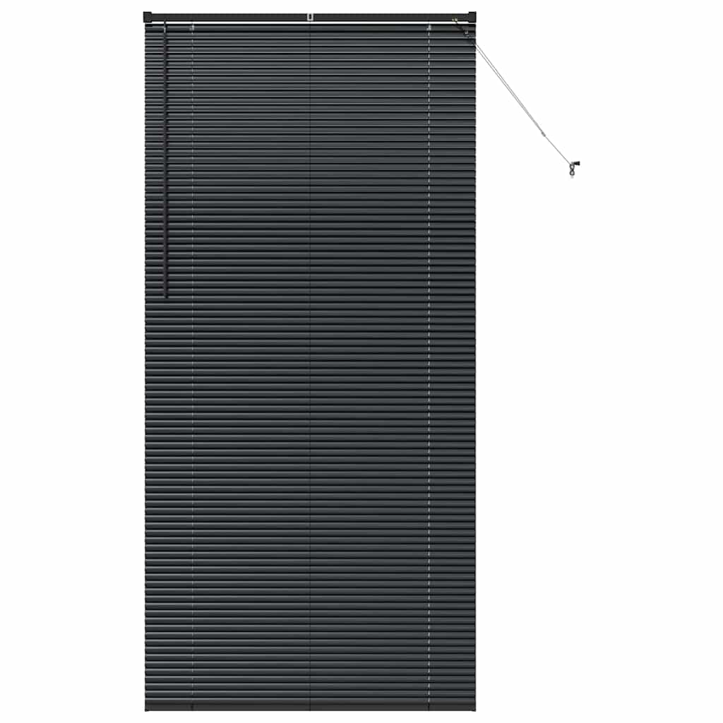 Tenda Veneziana Nero 220 x 100 cm 25 mm Alluminio