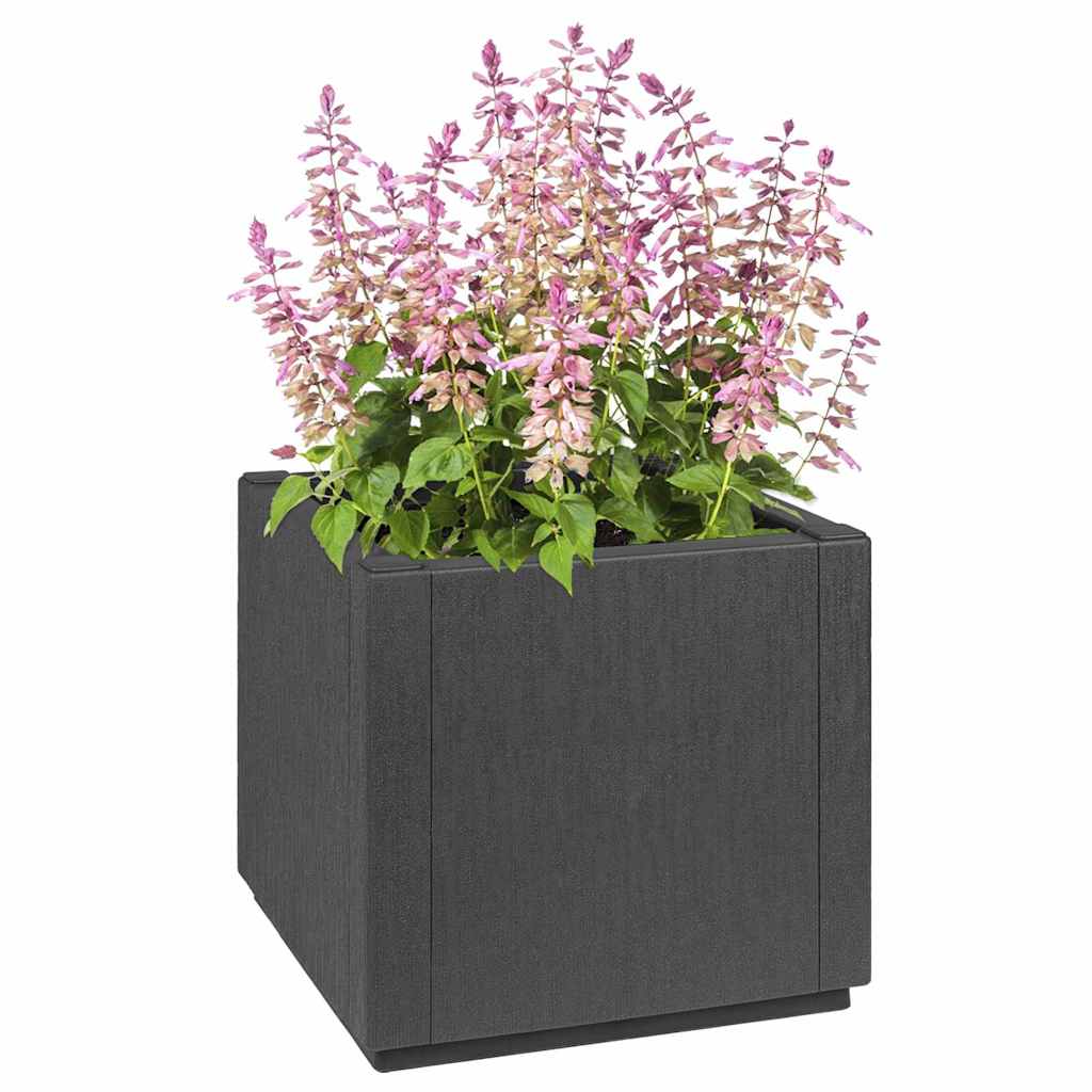Scatola per Fiori da Giardino Grigio Scuro 36 x 36 x 35 cm PP