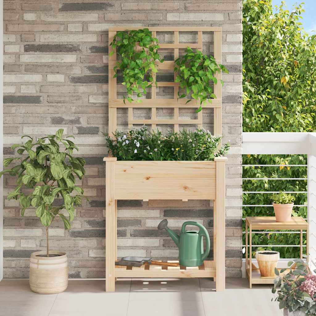 Vaso da giardino Beige 71 x 38 x 152 cm Legno di Abete Massello