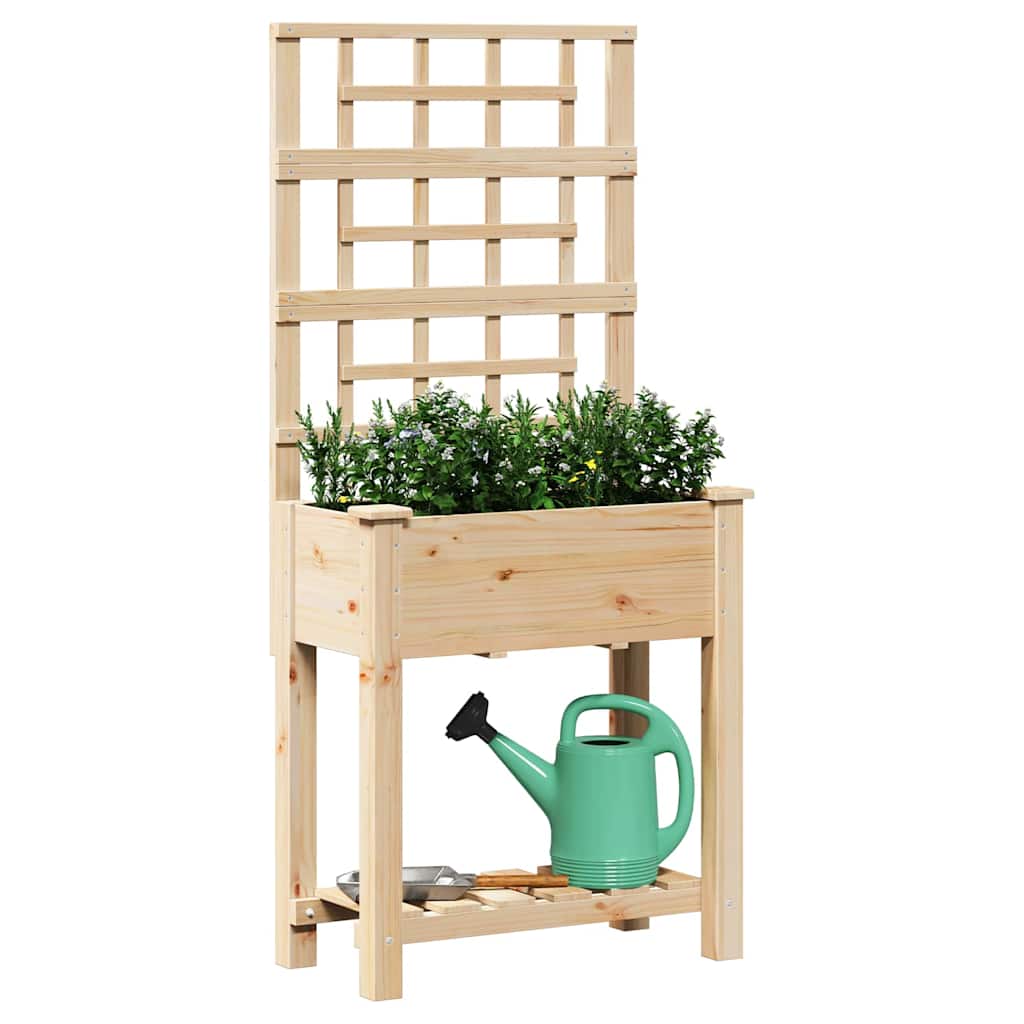 Vaso da giardino Beige 71 x 38 x 152 cm Legno di Abete Massello
