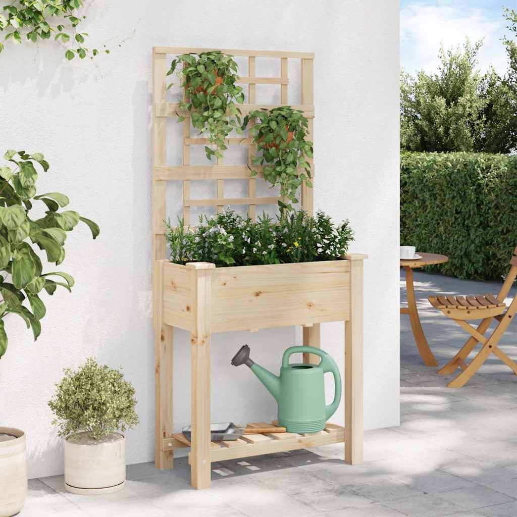Vaso da giardino Beige 71 x 38 x 152 cm Legno di Abete Massello