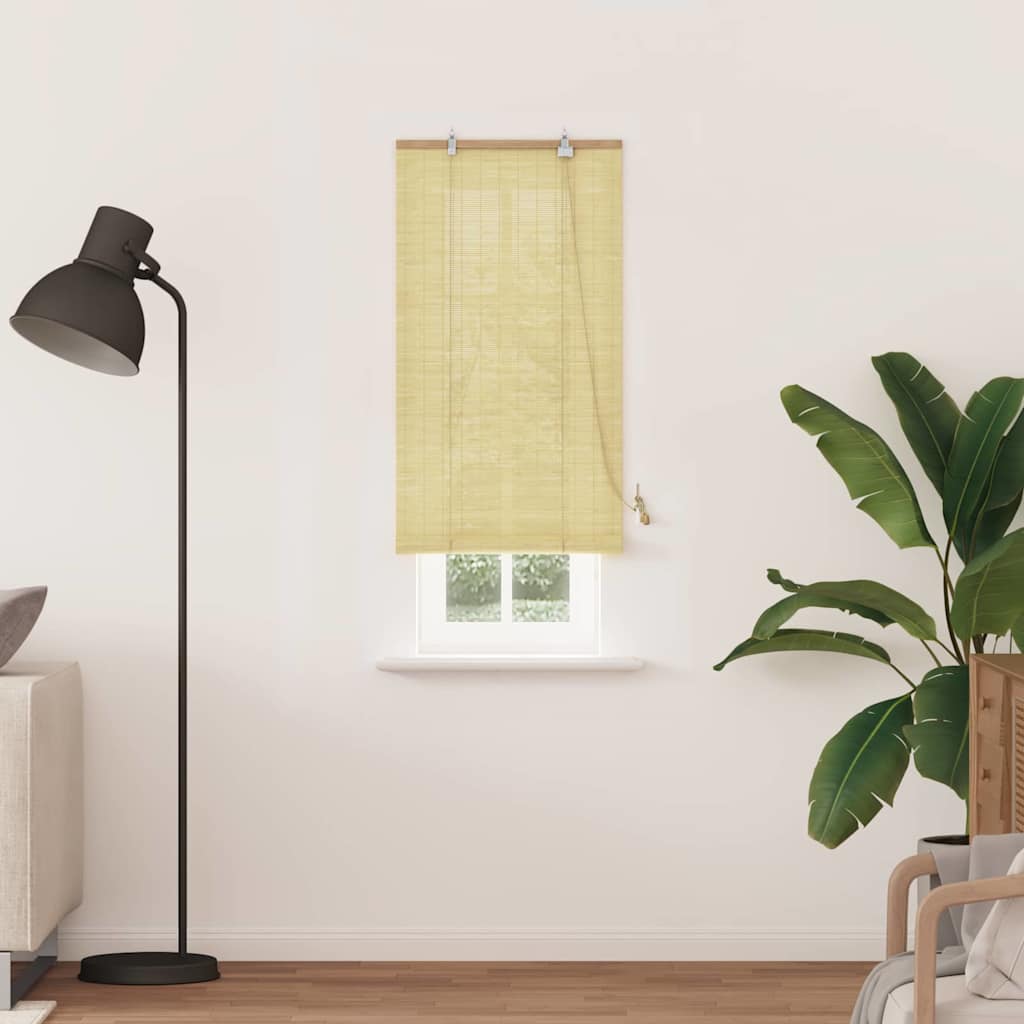 Tenda a rullo Natura 60 x 220 cm Bambù