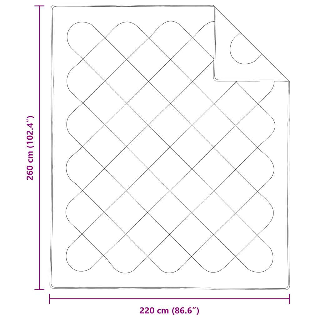 Piumone Invernale 260 x 220 x 3 cm Inverno Poliestere Bianco