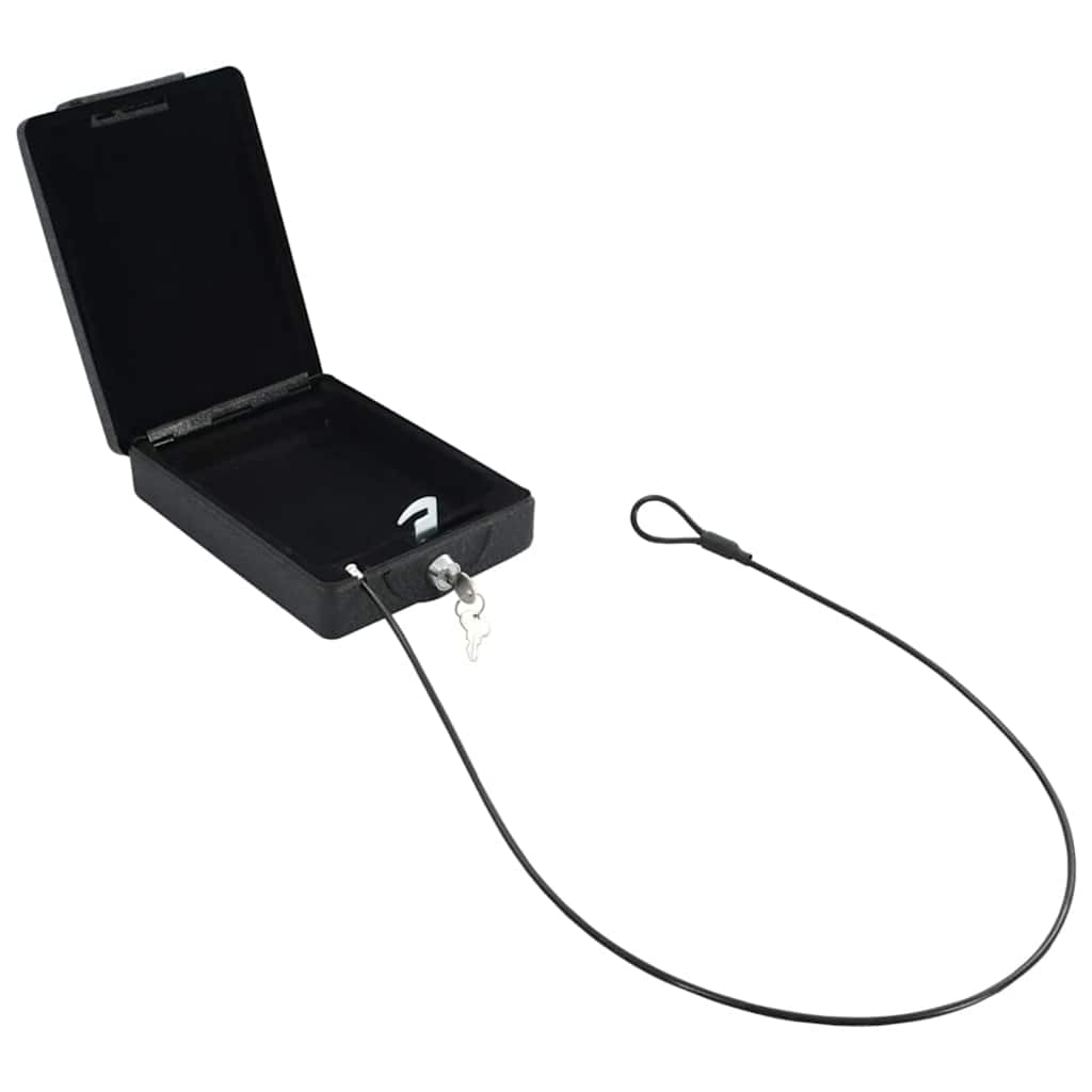 Cassaforte per Auto con blocco Nero 22 x 16 x 7 cm Acciaio