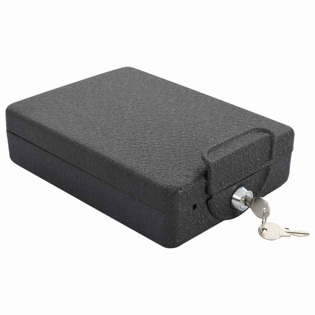Cassaforte per Auto con blocco Nero 22 x 16 x 7 cm Acciaio