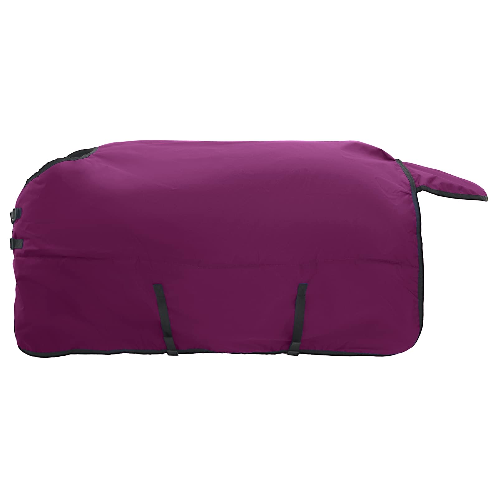 Coperta per Cavalli Viola Completo 95 cm Poliestere