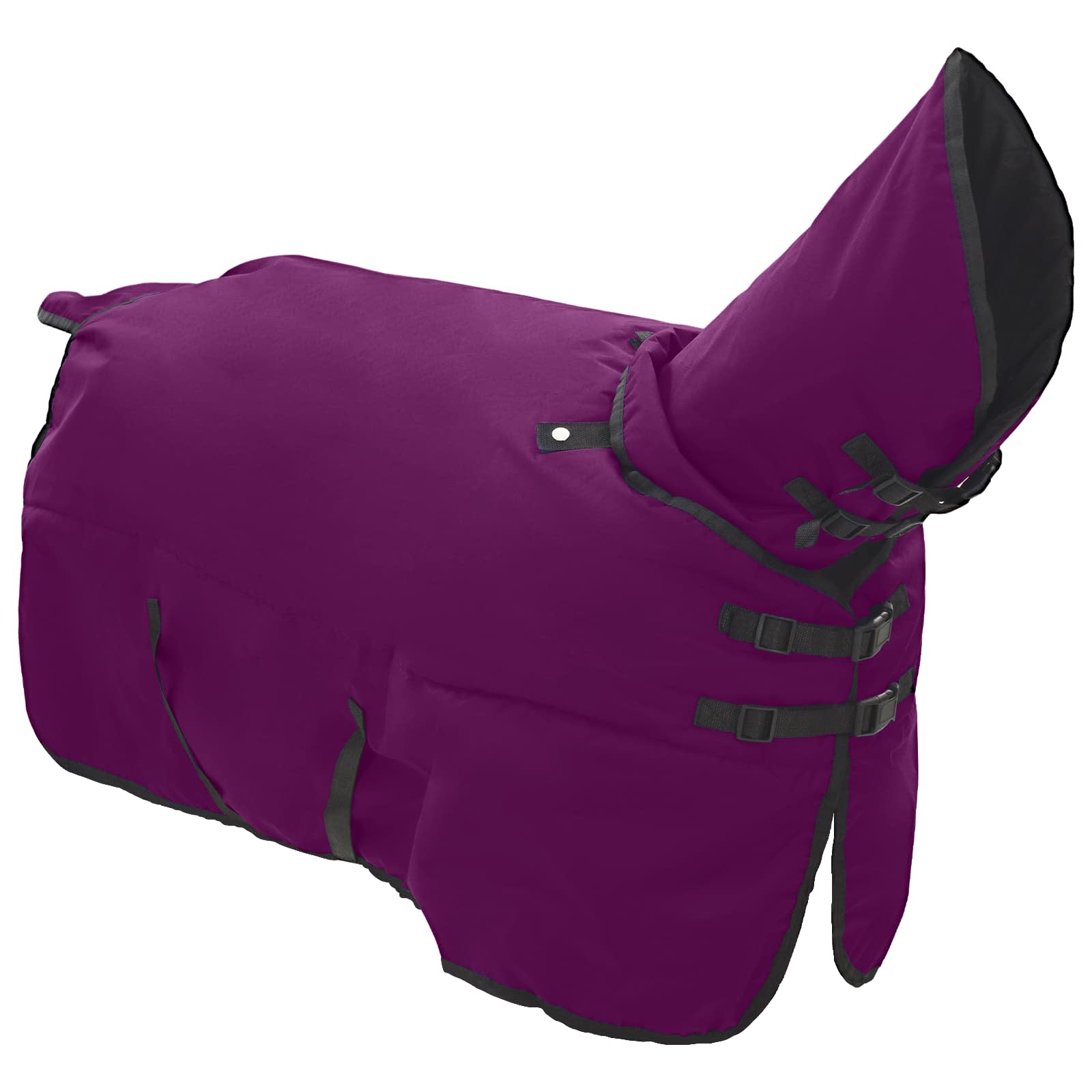 Coperta per Cavalli Viola Completo 115 cm Poliestere