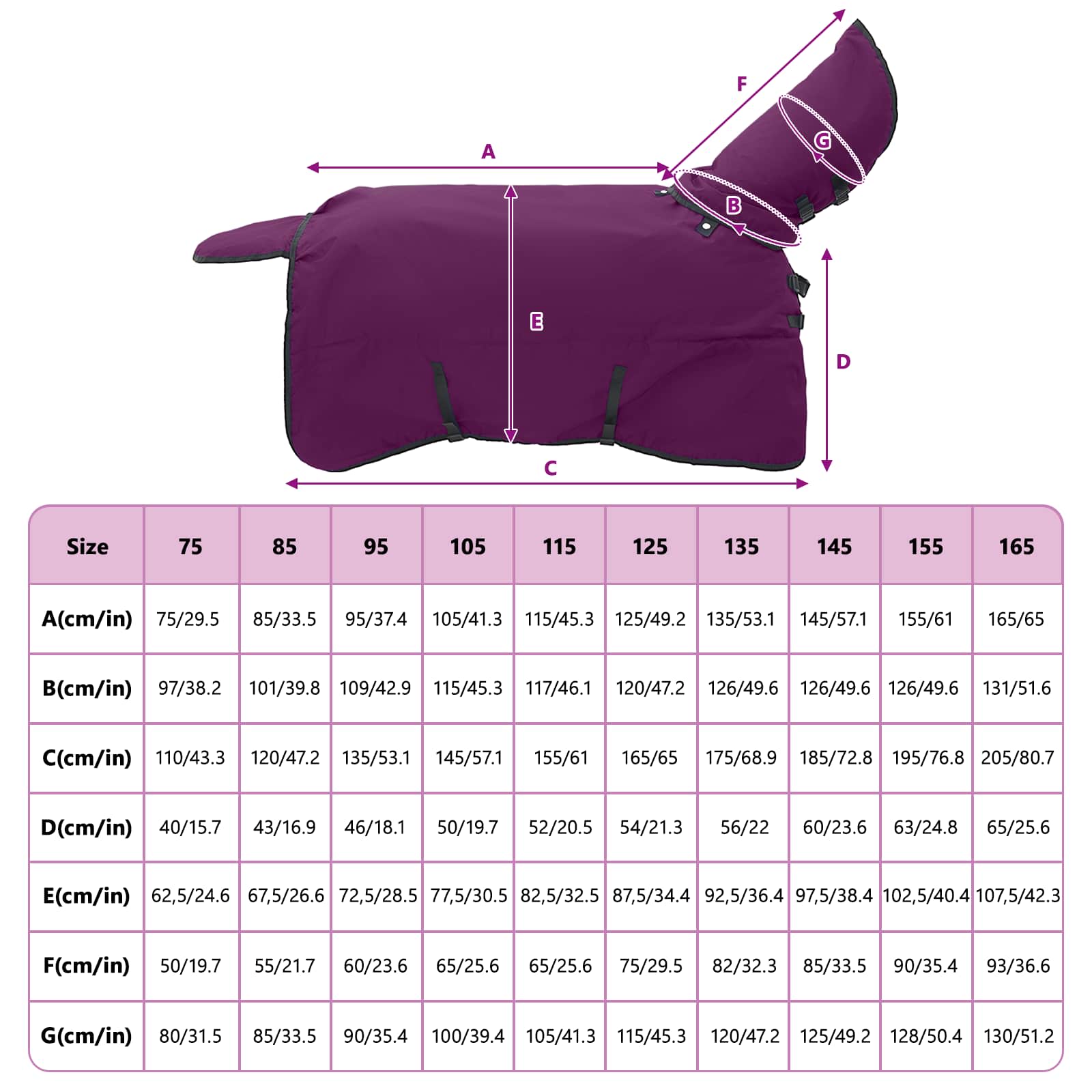 Coperta per Cavalli Viola Completo 125 cm Poliestere