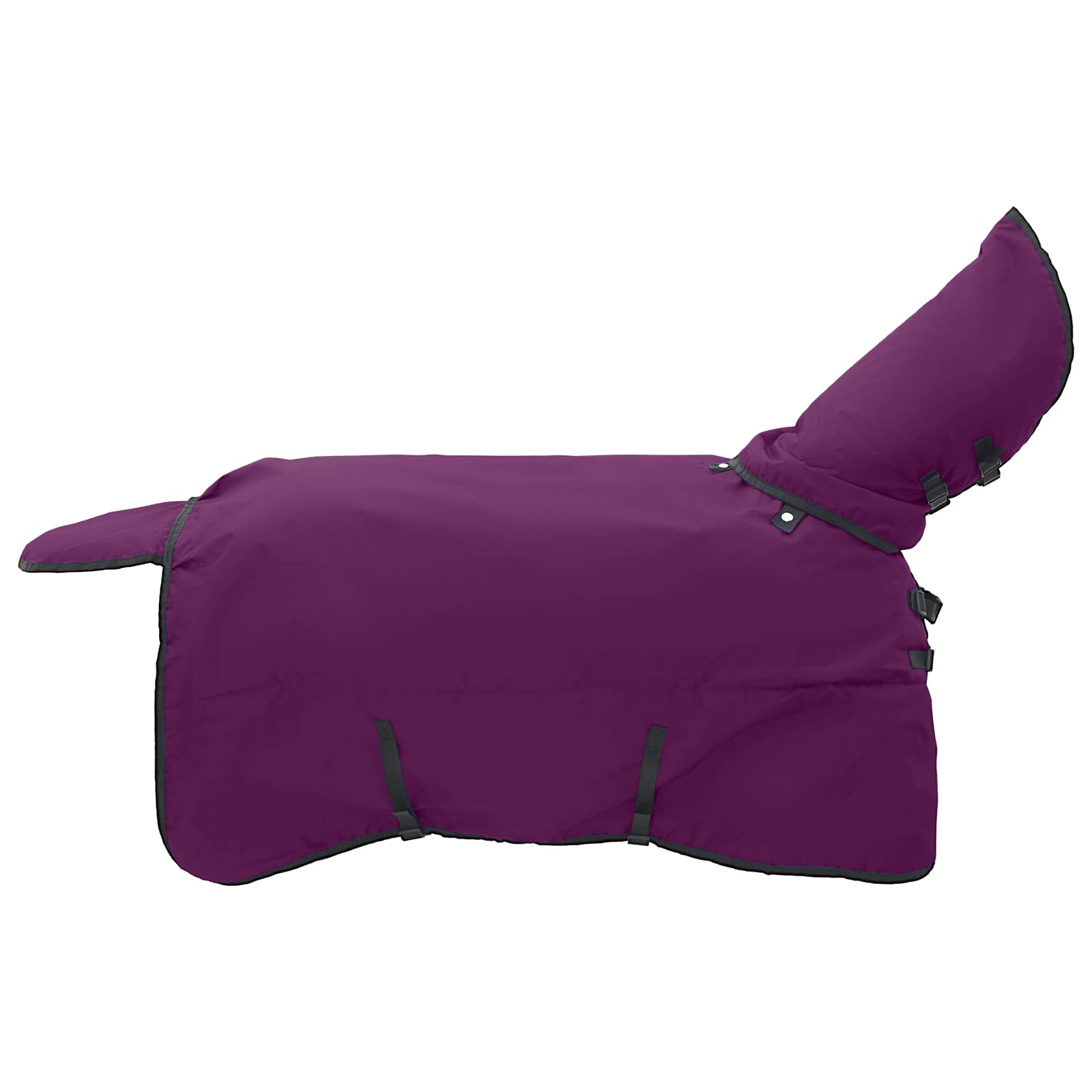 Coperta per Cavalli Viola Completo 135 cm Poliestere