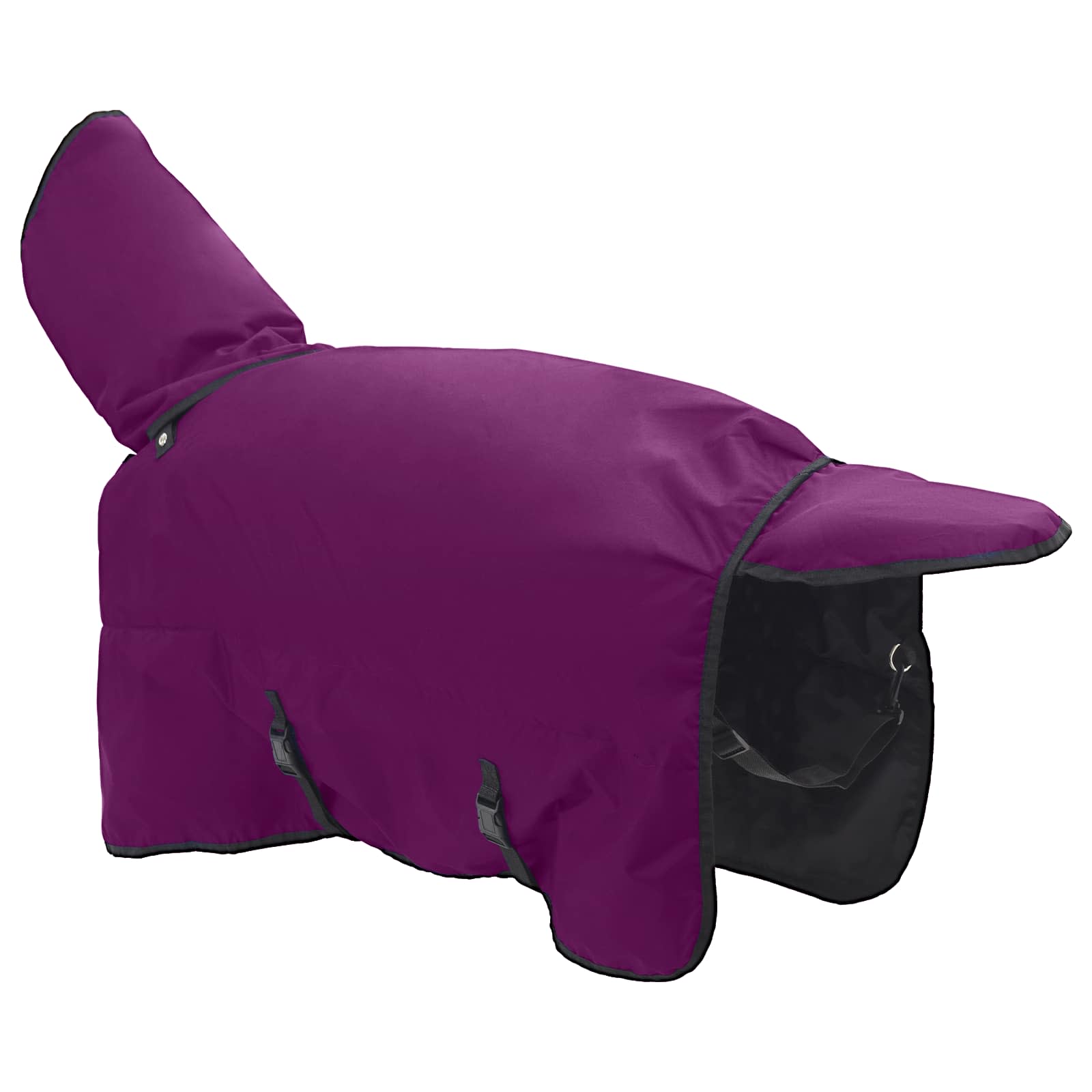 Coperta per Cavalli Viola Completo 165 cm Poliestere