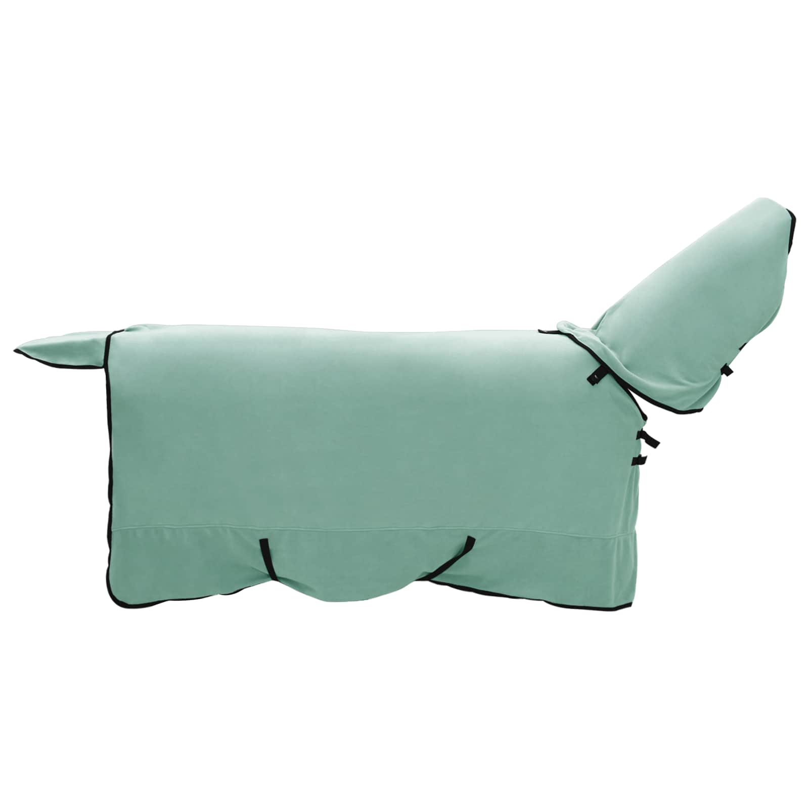 Coperta per Cavalli Verde speciale 165 cm Fleece in poliestere