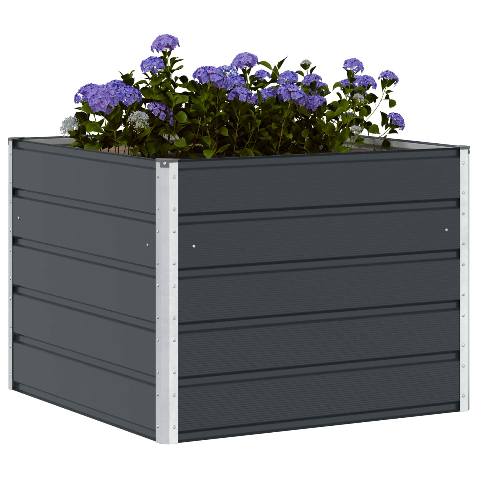 Fioriera Antracite 100 x 100 x 75 cm Acciaio