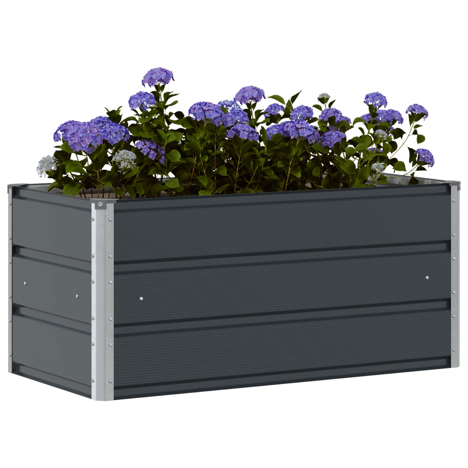 Fioriera Antracite 100 x 50 x 45 cm Acciaio zincato