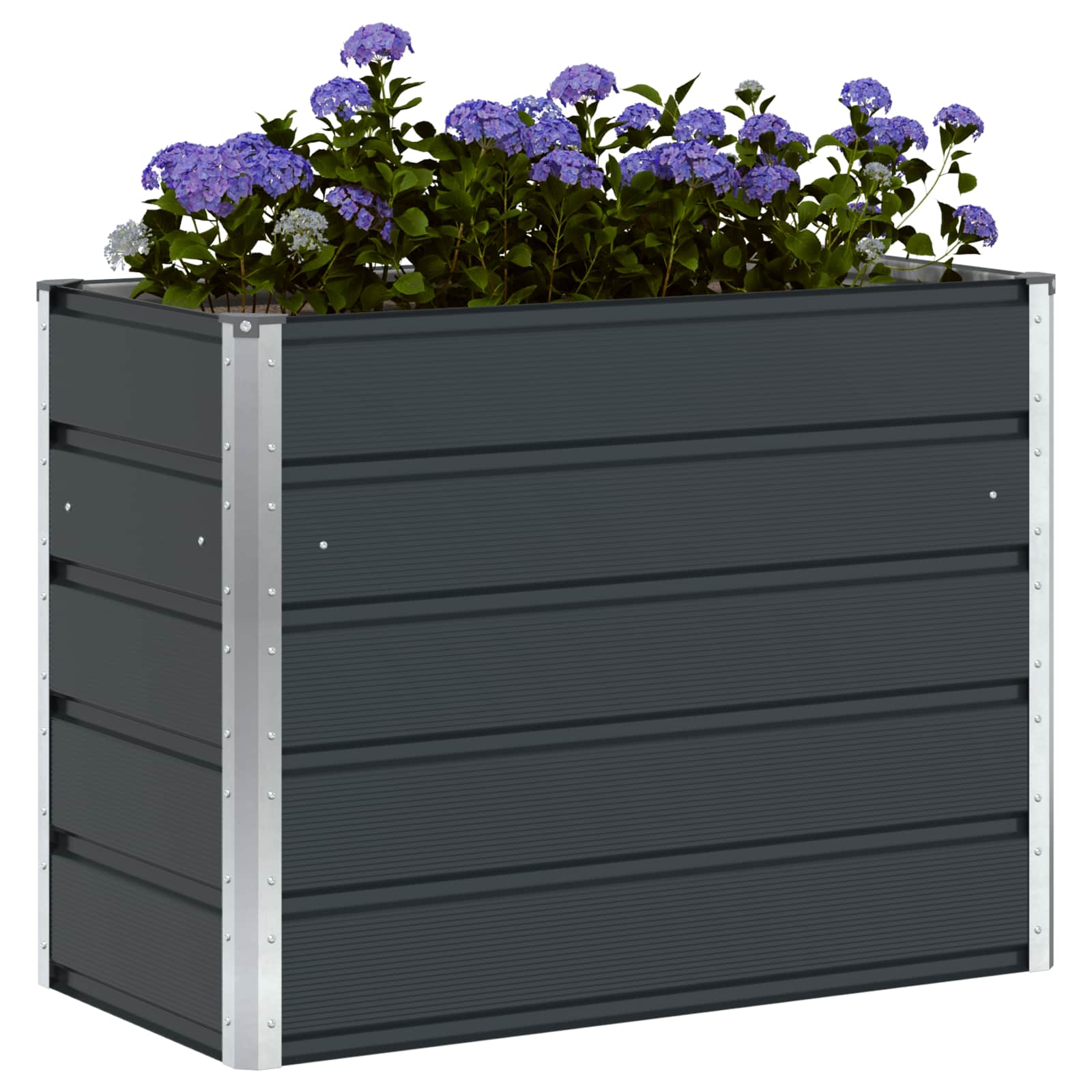 Fioriera Antracite 100 x 50 x 75 cm Acciaio zincato