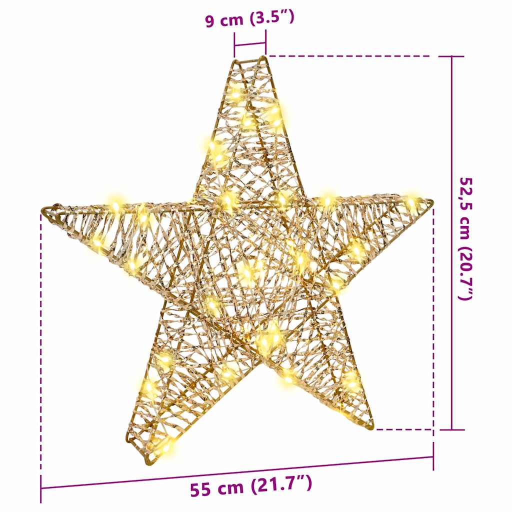 Stella 3D 50 LED Bianco caldo 55 x 52.5 x 9 cm PET